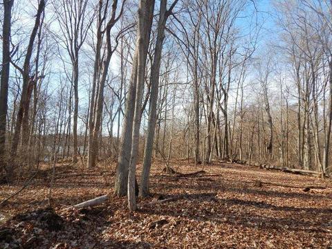 7150 S Section Line Rd, Delaware, OH 43015 photo 15