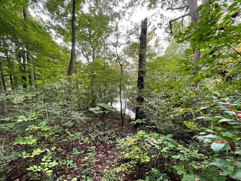 7150 S Section Line Rd, Delaware, OH 43015 photo 8