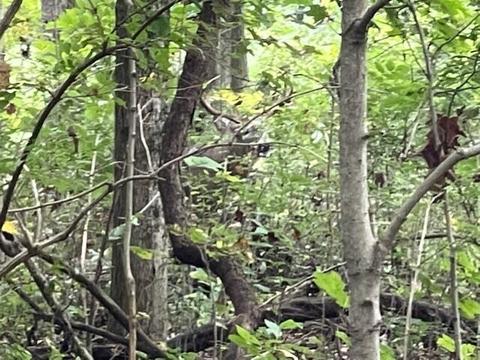 7150 S Section Line Rd, Delaware, OH 43015 photo 12