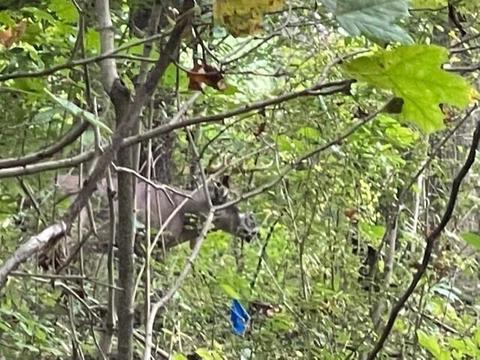 7150 S Section Line Rd, Delaware, OH 43015 photo 14