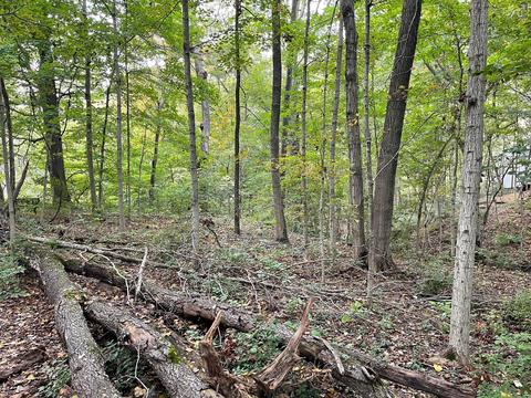 7150 S Section Line Rd, Delaware, OH 43015 photo 5