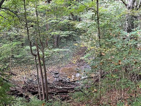 7150 S Section Line Rd, Delaware, OH 43015 photo 6