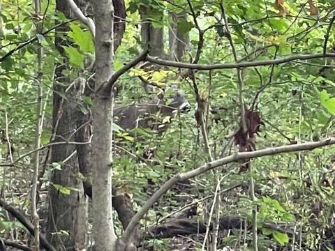 7150 S Section Line Rd, Delaware, OH 43015 photo 13
