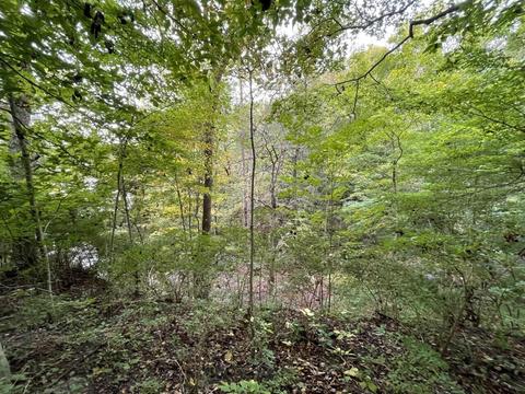 7150 S Section Line Rd, Delaware, OH 43015 photo 4