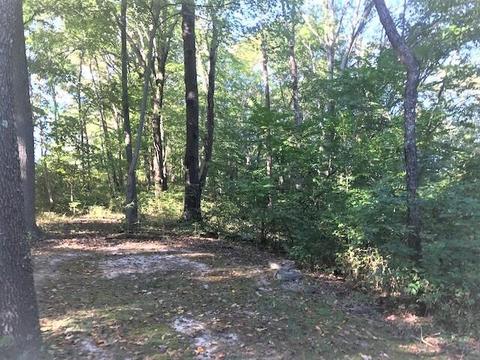 31224 Anglebrook Ln, Logan, OH 43138 photo 8