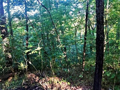 31224 Anglebrook Ln, Logan, OH 43138 photo 7