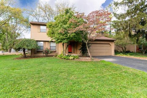 117 Ormsbee Ave, Westerville, OH 43081 photo 2