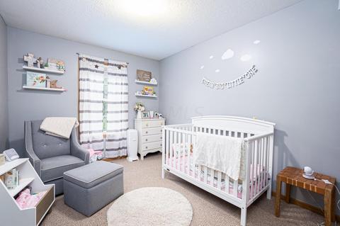 9330 Strawser St, Orient, OH 43146 photo 60