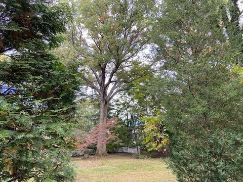 176 Walhalla Rd, Columbus, OH 43202 photo 32