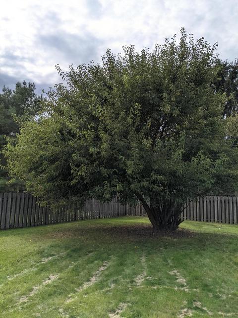 7969 Stanburn Rd, Dublin, OH 43016 photo 3