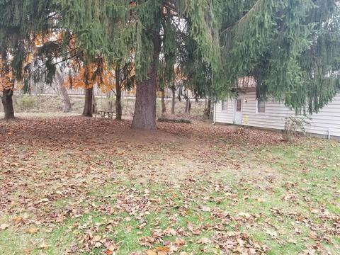 1319 Chestnut St, Dresden, OH 43821 photo 10