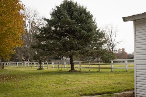 2515 Sunset Ave, Springfield, OH 45505 photo 5