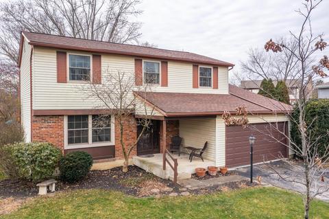 8689 Ripton Dr, Powell, OH 43065 photo 3