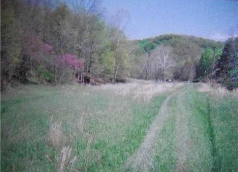 1784 Bronx Corner Rd, Ray, OH 45672 photo 3