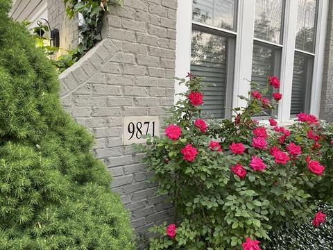 9871 Macdonald Dr, Dublin, OH 43017 photo 71