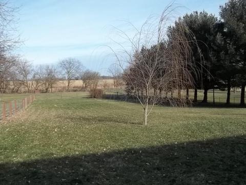 540 W Neff St, Morral, OH 43337 photo 15