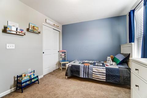 675 Eagle Walk Rd, Delaware, OH 43015 photo 33