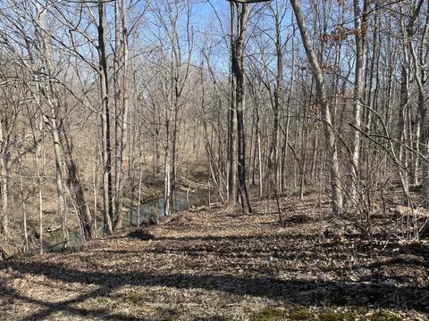 33 Main Rd, Delaware, OH 43015 photo 28