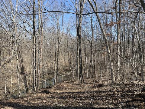 33 Main Rd, Delaware, OH 43015 photo 29
