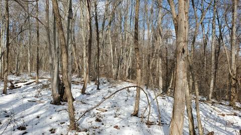 0 Jim Lackey Rd, Vinton, OH 45686