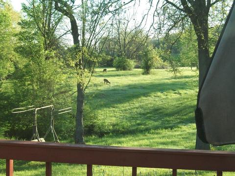 6832 State Route 56 E, Circleville, OH 43113 photo 9