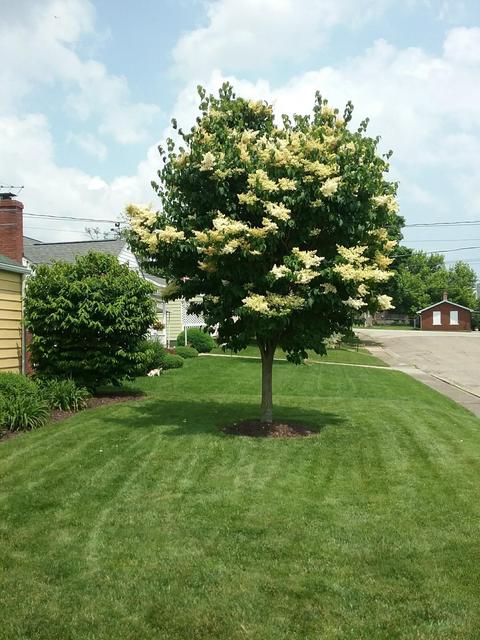 116 Parkview Ave, Circleville, OH 43113 photo 6