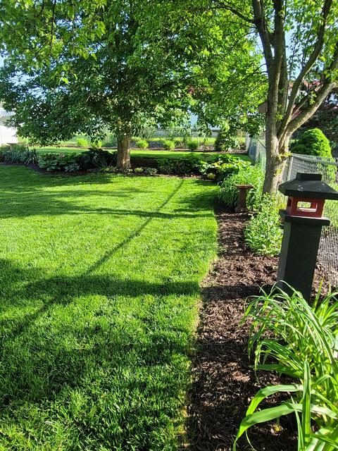 116 Parkview Ave, Circleville, OH 43113 photo 28