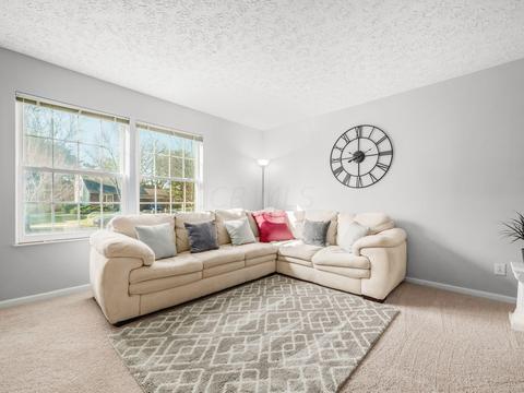 3720 Mullane Ct, Dublin, OH 43016 photo 8