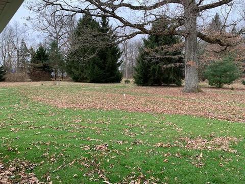735 Whetstone River Rd S, Caledonia, OH 43314 photo 8