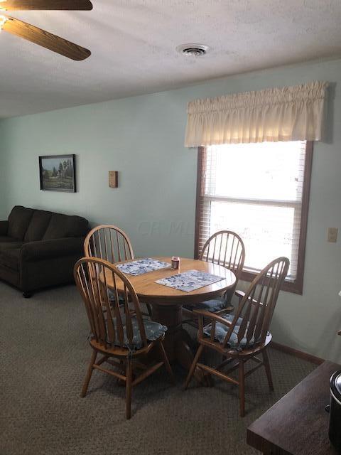 445 Avon Dr, Circleville, OH 43113 photo 13