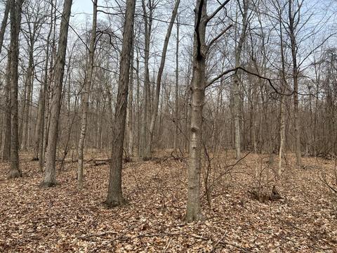 0 County Road 170, Cardington, OH 43315