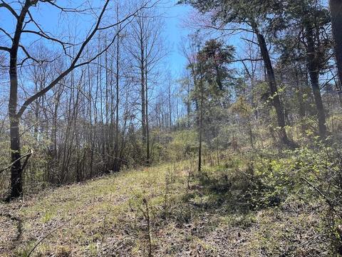 19707 Rauber Rd, Logan, OH 43138 photo 68