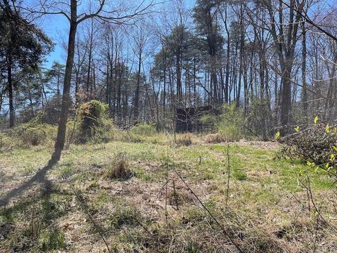 19707 Rauber Rd, Logan, OH 43138 photo 71