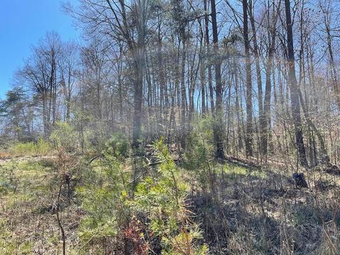 19707 Rauber Rd, Logan, OH 43138 photo 72