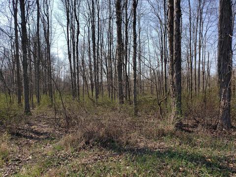 8295 Horn Rd, Gambier, OH 43022