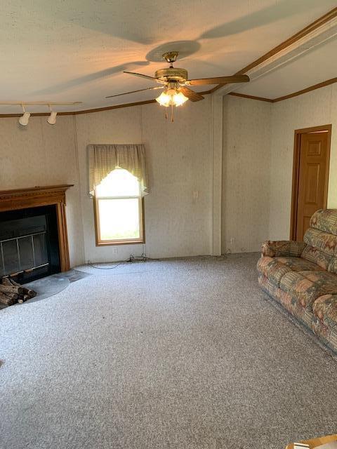 39271 State Route 681, Shade, OH 45776 photo 38
