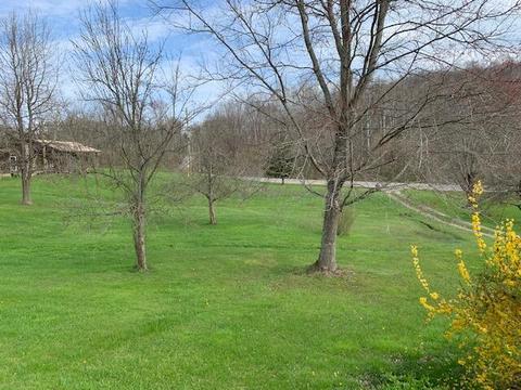39271 State Route 681, Shade, OH 45776 photo 46
