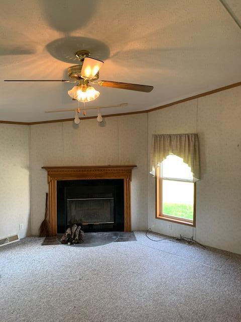 39271 State Route 681, Shade, OH 45776 photo 37