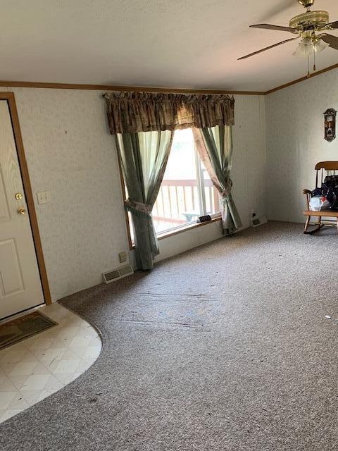 39271 State Route 681, Shade, OH 45776 photo 42