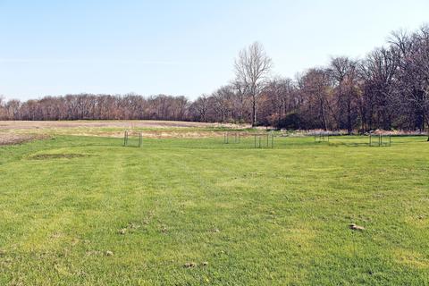 9696 Co Rd 11, De Graff, OH 43318 photo 5