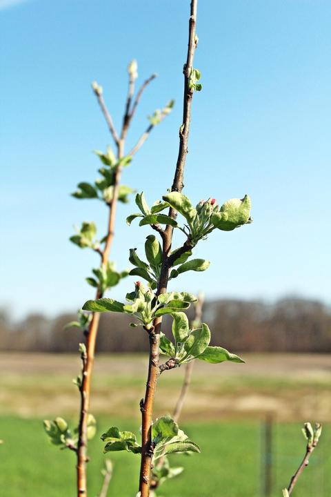 9696 Co Rd 11, De Graff, OH 43318 photo 7