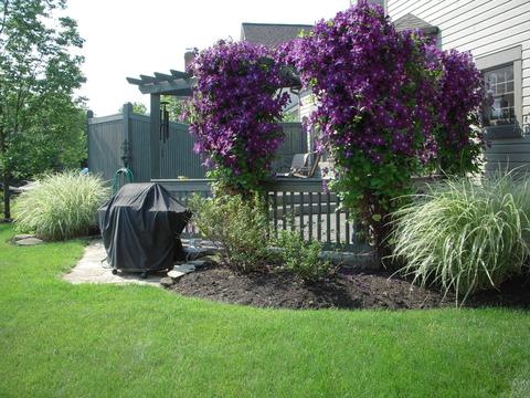 7768 Brandonway Dr, Dublin, OH 43017 photo 42