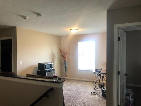 74 Sandburg Dr, Lithopolis, OH 43136 photo 7