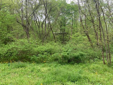 71850 Grey Rd, Vinton, OH 45686 photo 18