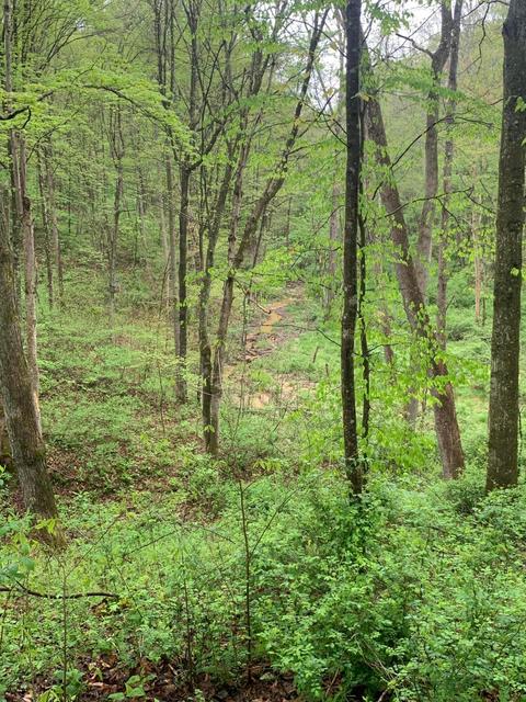 71850 Grey Rd, Vinton, OH 45686 photo 3