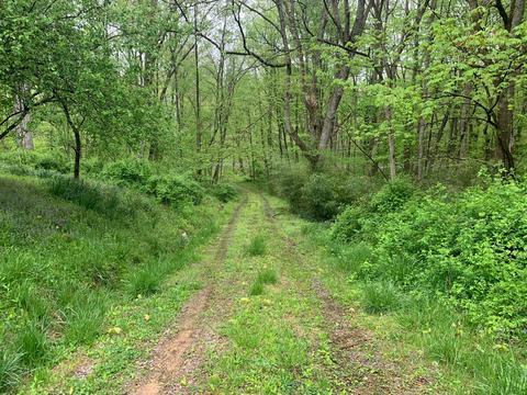 71850 Grey Rd, Vinton, OH 45686 photo 6