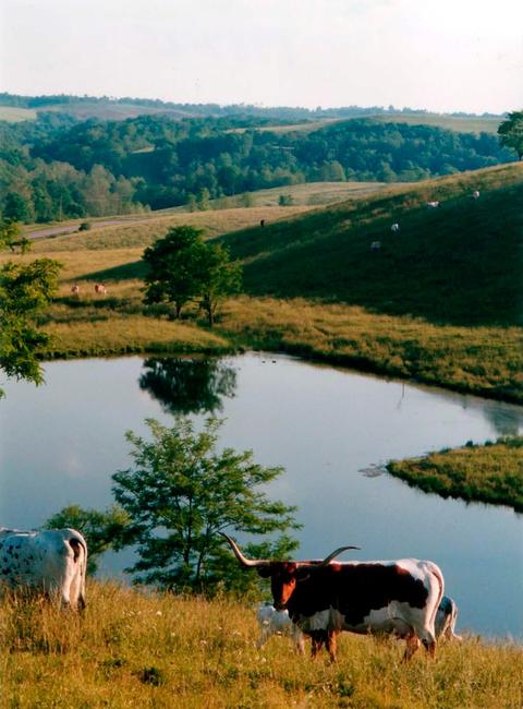 00 Cattle Dr, Barnesville, OH 43713 photo 11