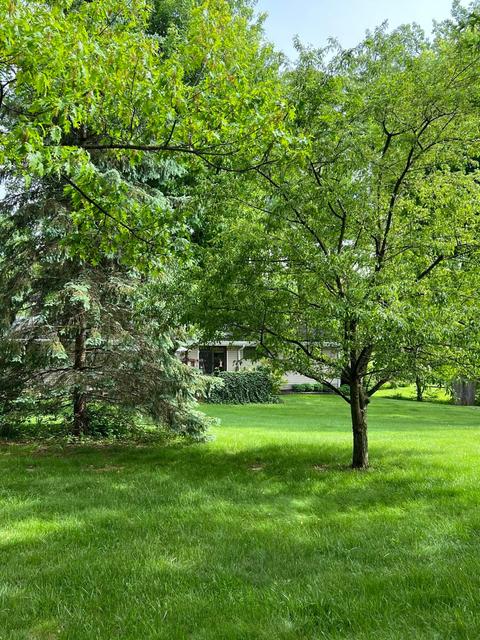 2404 Brookdale Dr, Springfield, OH 45502 photo 15