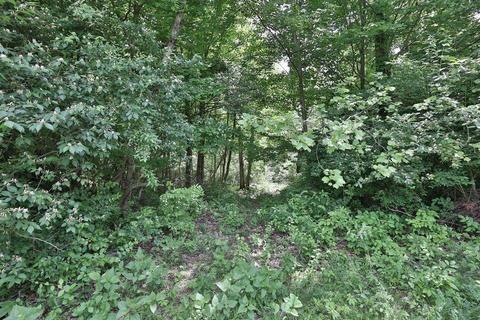 4253 Pine Tree Pl, Springfield, OH 45504 photo 3