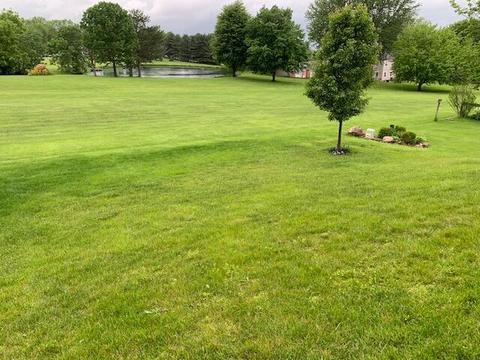 61 W Twin Maple Ave, Lithopolis, OH 43136 photo 8